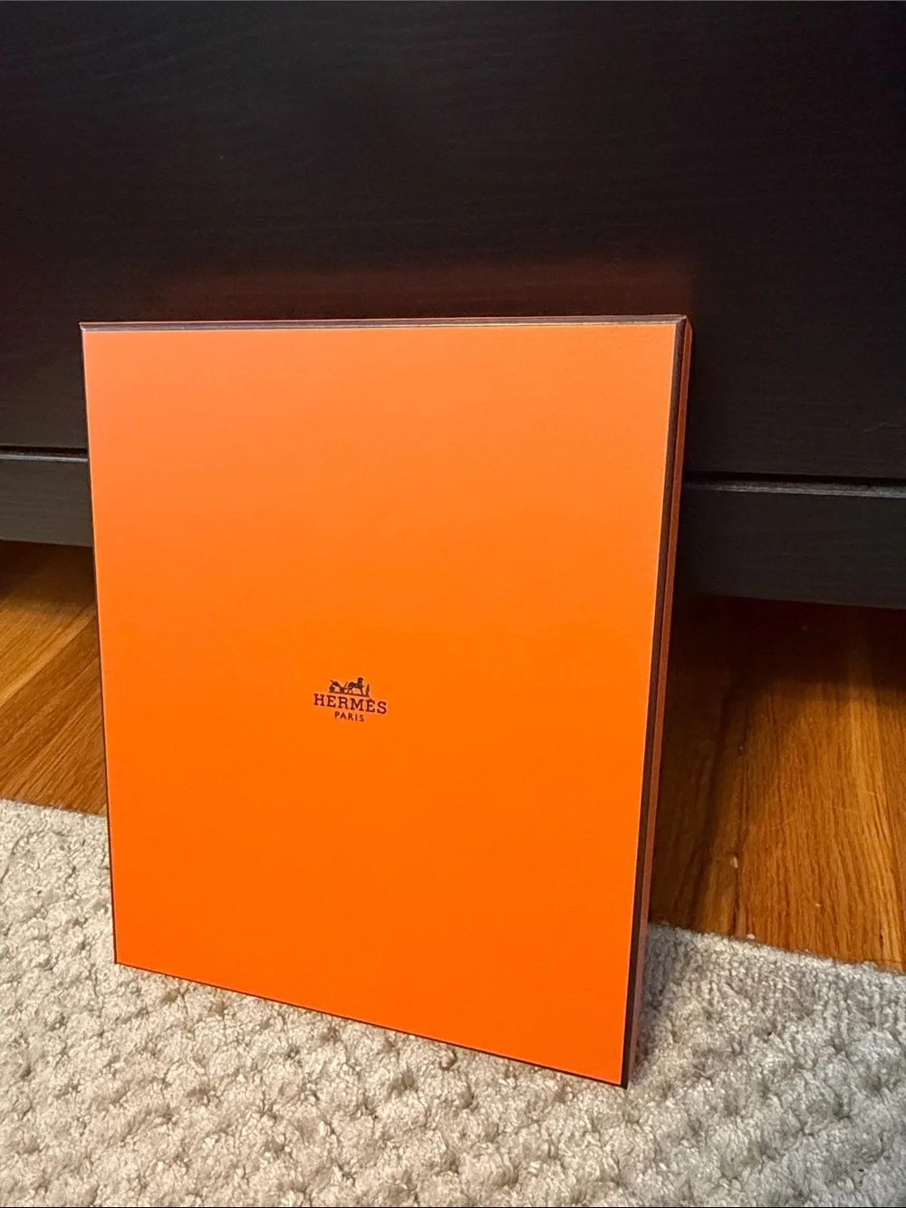 Hermes Orange Branded Paper Shopping Bag with Rope Handles